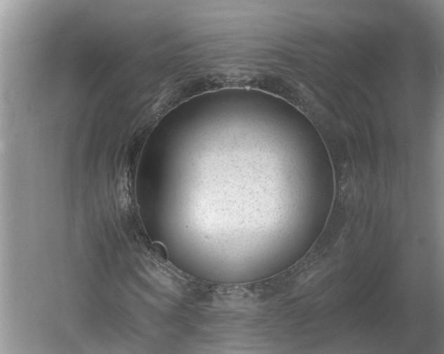 X0000060550866200511101535