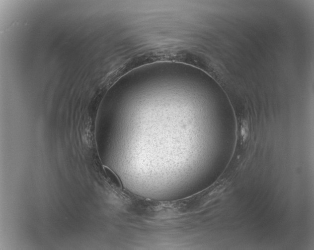 X0000060550867200511101535