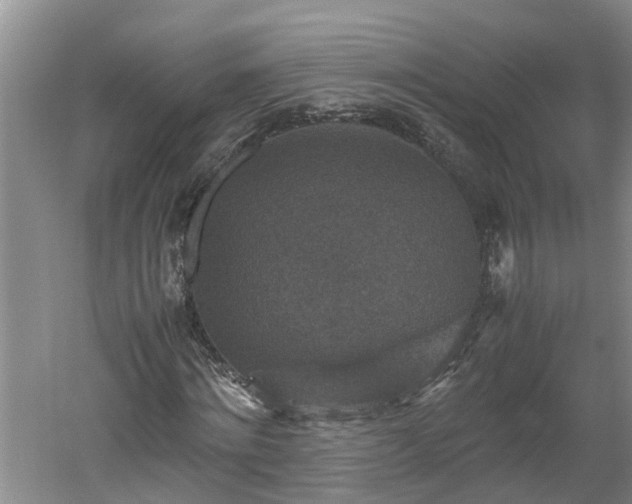 X0000060550868200511101535