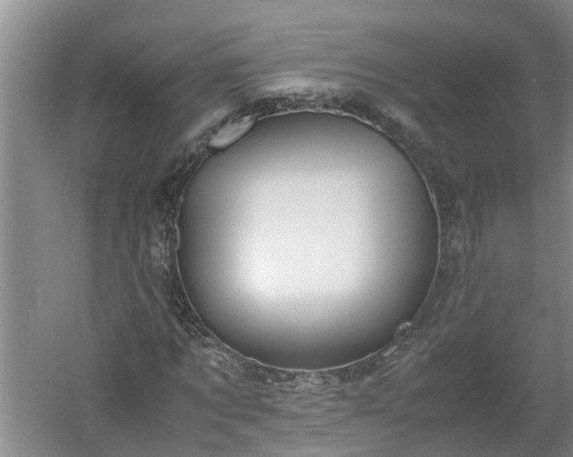 X0000060550869200511101535