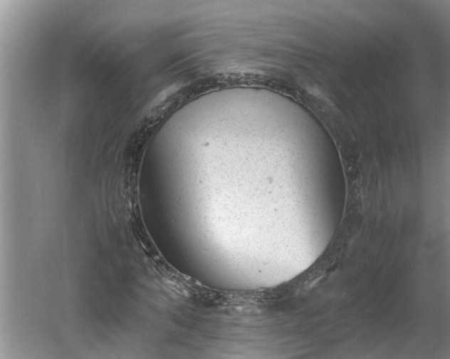 X0000060550870200511101535