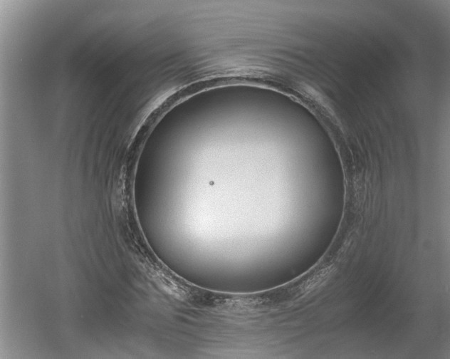 X0000060550875200511101534