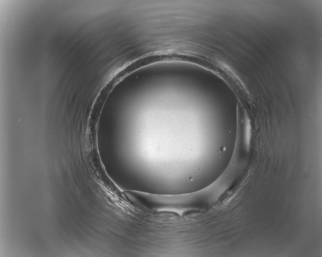 X0000060550876200511101534