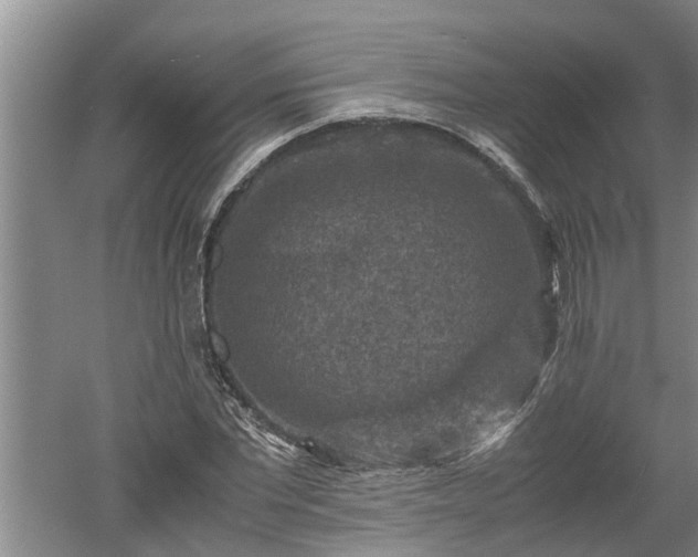 X0000060550877200511101534