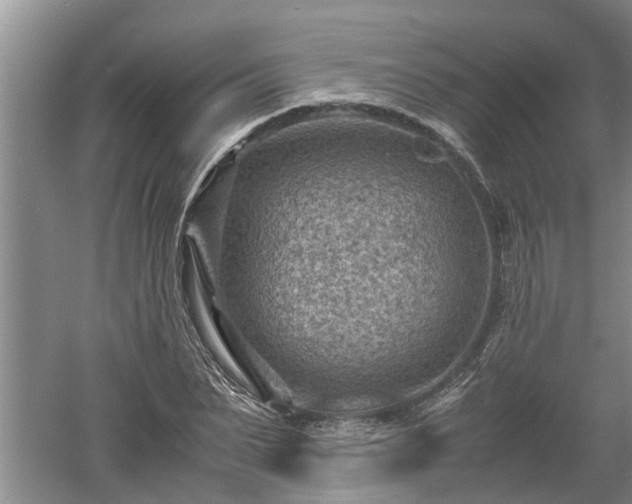 X0000060550879200511101534