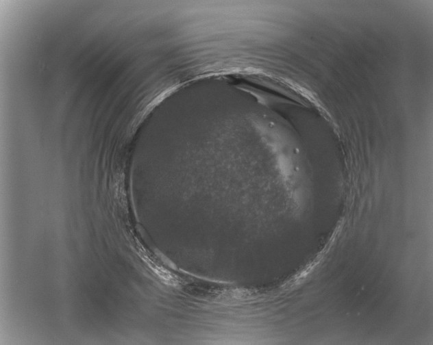 X0000060550881200511101534