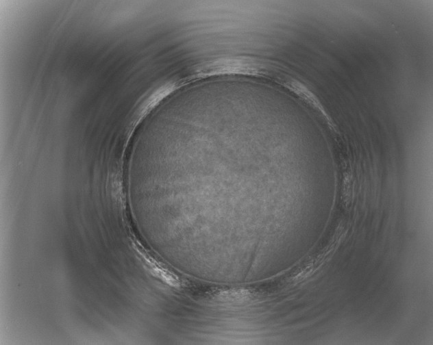 X0000060550882200511101534