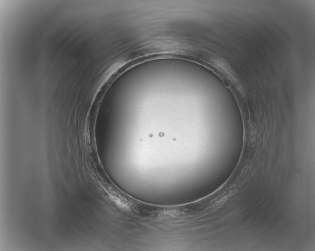 X0000060550883200511101534