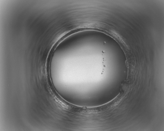 X0000060550884200511101534