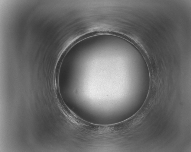 X0000060550887200511101534