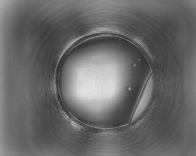 X0000060550888200511101534