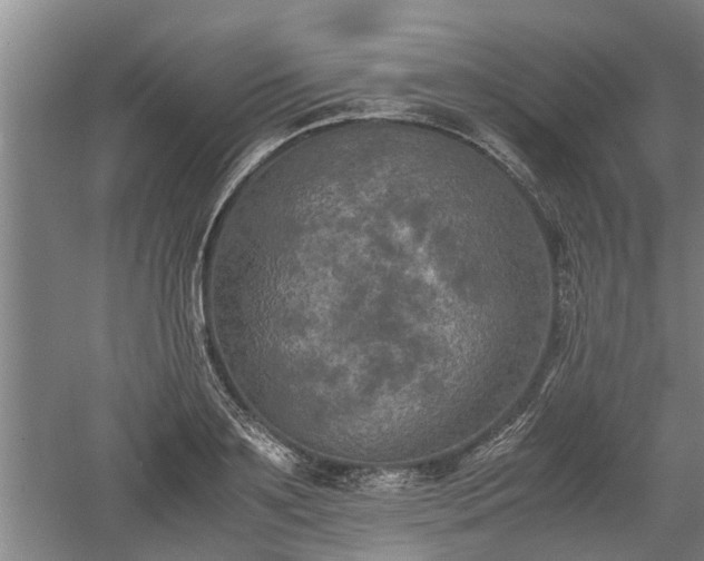 X0000060550891200511101534