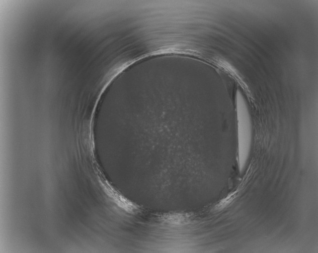 X0000060550892200511101534