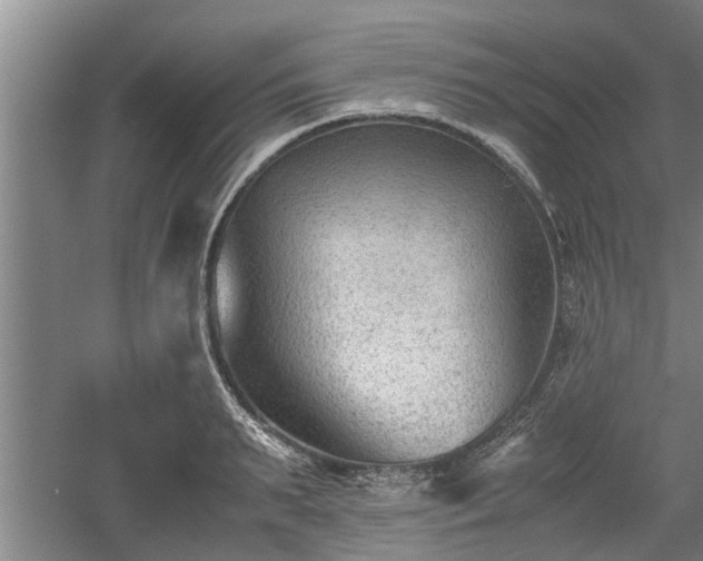 X0000060550895200511101534