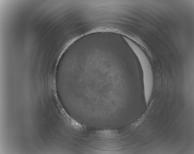 X0000060550896200511101534