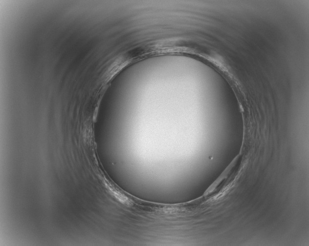 X0000060550897200511101534