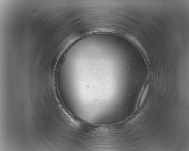 X0000060550898200511101534