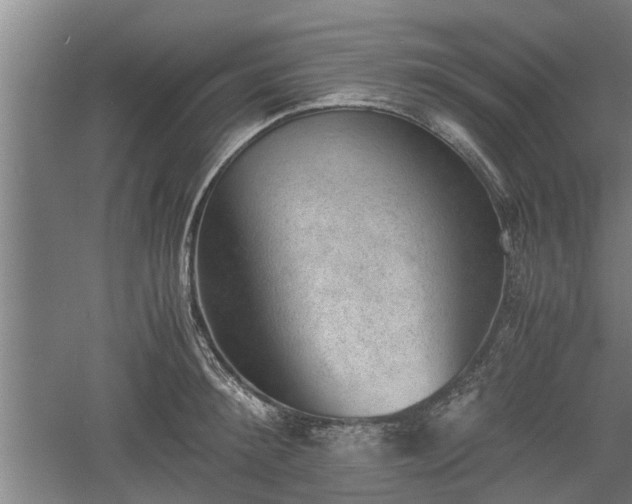 X0000060550900200511101534