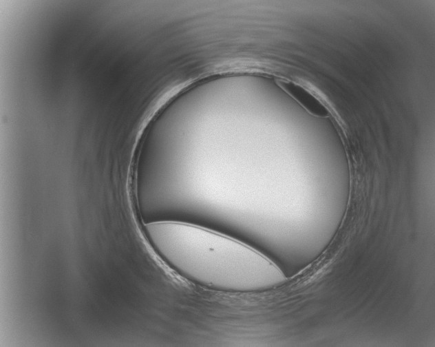 X0000060550901200511101534