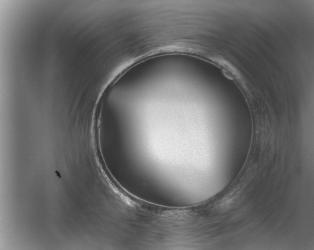 X0000060550902200511101534