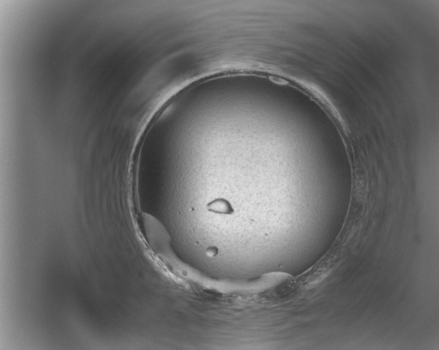 X0000060550903200511101534