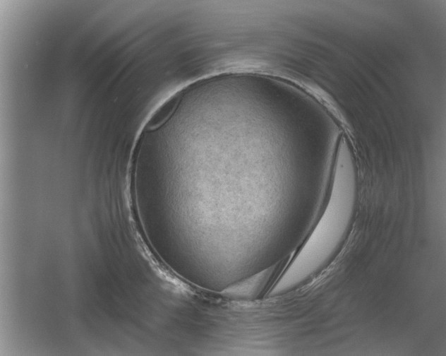 X0000060550904200511101534