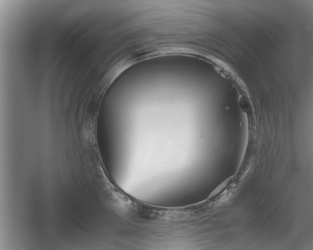 X0000060550905200511101534