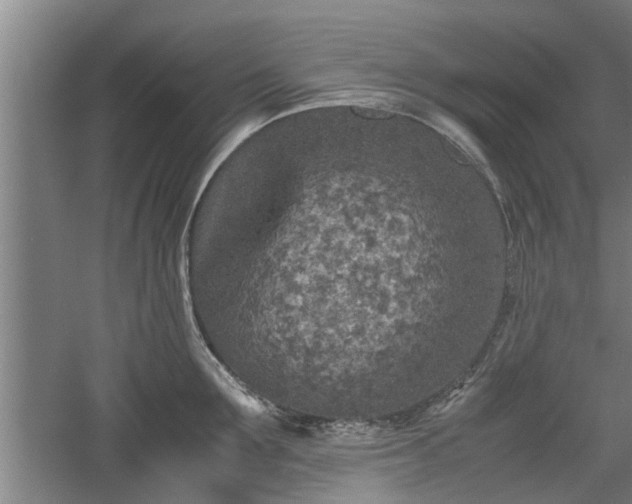 X0000060550907200511101534