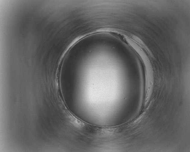 X0000060550908200511101534