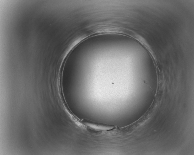 X0000060550909200511101534