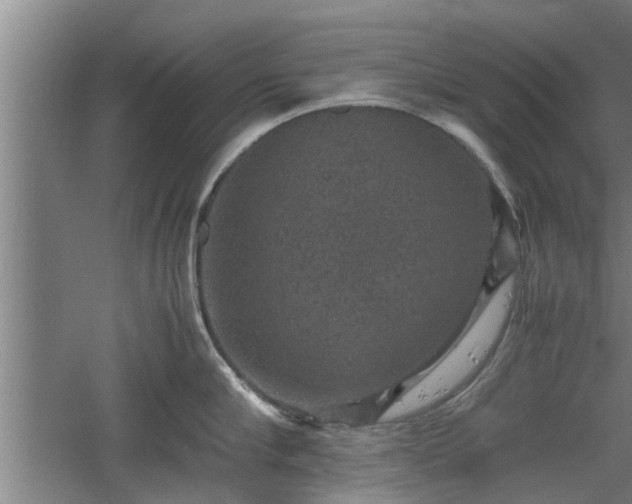 X0000060550910200511101534