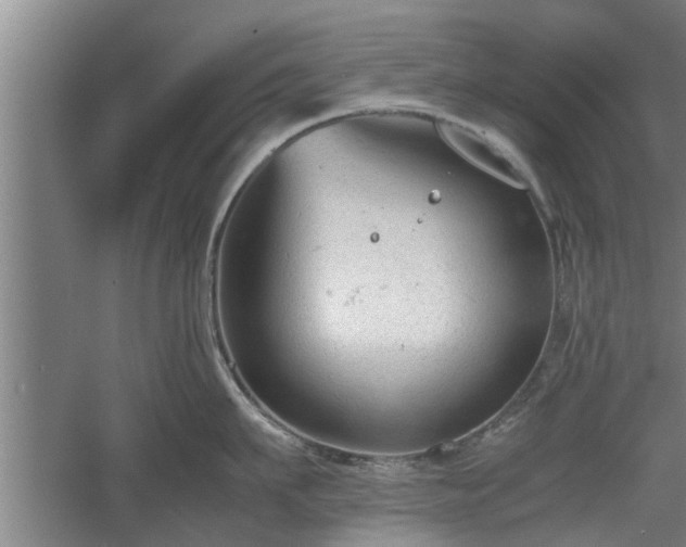 X0000060550911200511101534