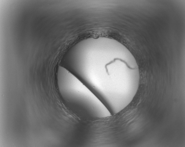 X0000060550913200511101533