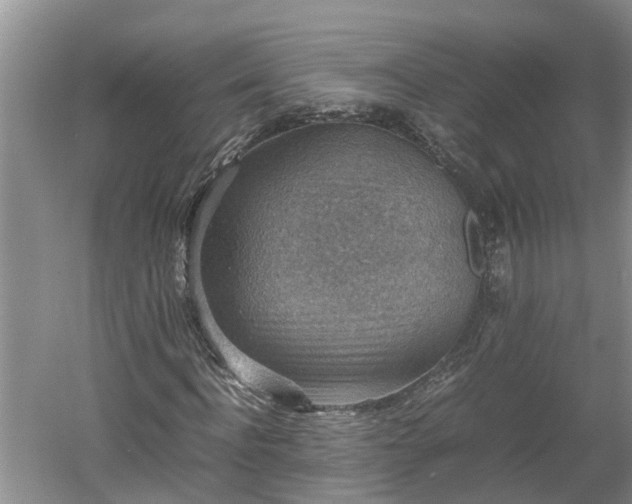 X0000060550916200511101533