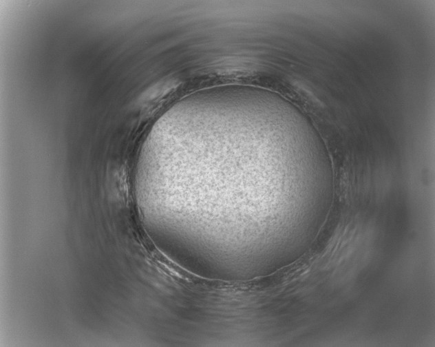 X0000060550917200511101533