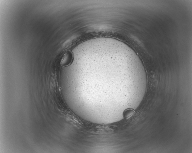 X0000060550918200511101533