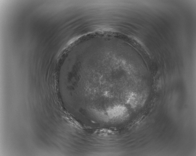 X0000060550919200511101533