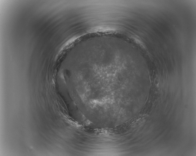 X0000060550920200511101533