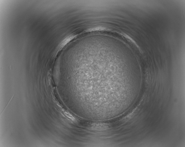 X0000060550921200511101533