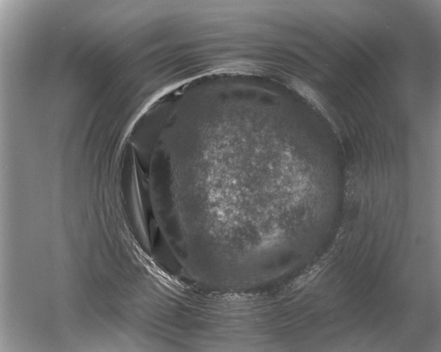 X0000060550923200511101533