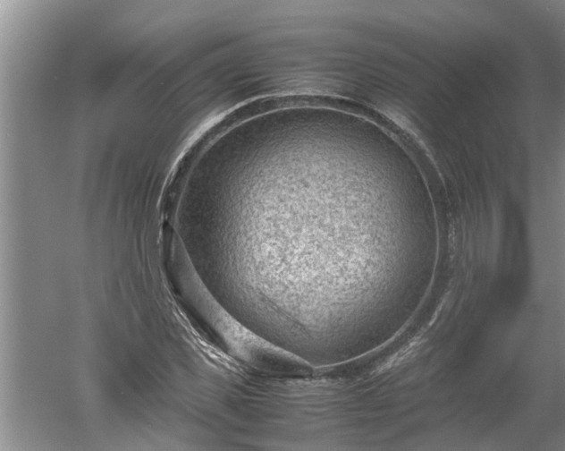 X0000060550925200511101533