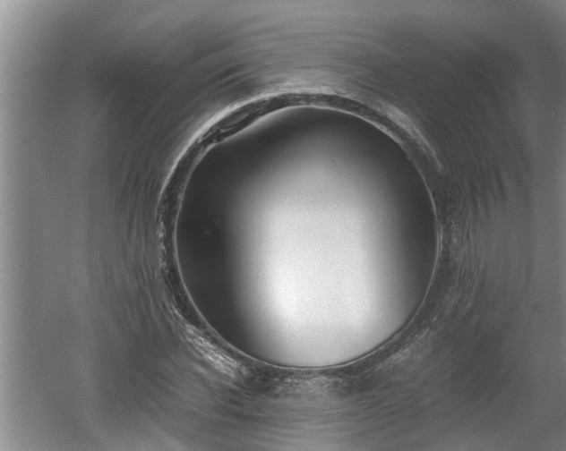 X0000060550926200511101533