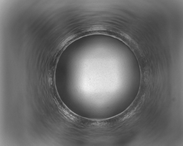 X0000060550929200511101533