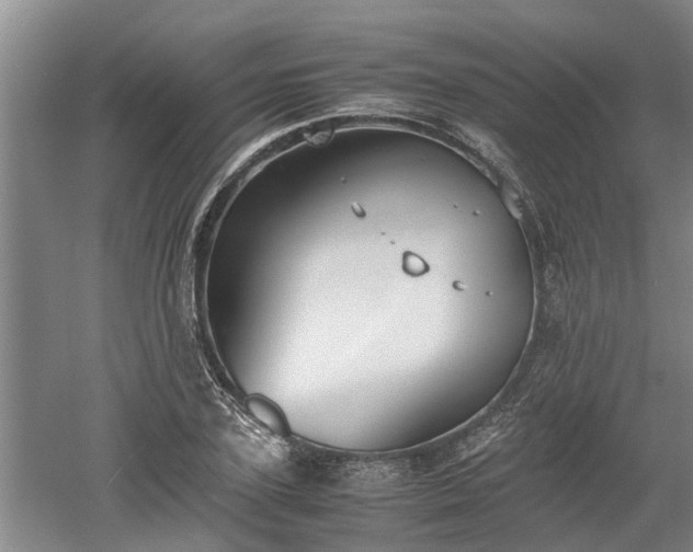 X0000060550931200511101533