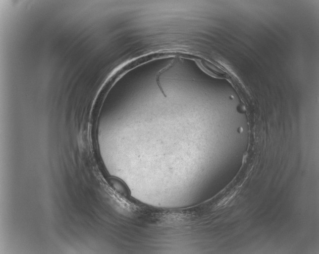 X0000060550932200511101533