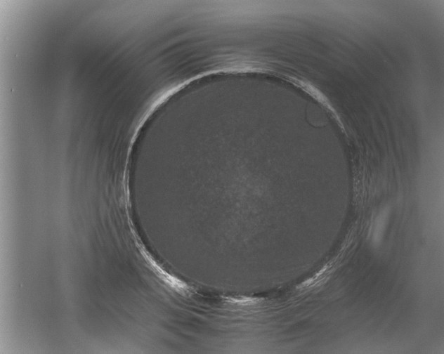 X0000060550935200511101533