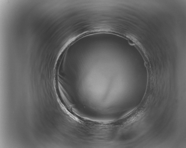 X0000060550941200511101533