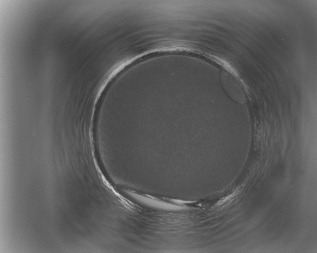 X0000060550943200511101534