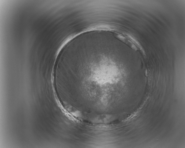 X0000060550944200511101534