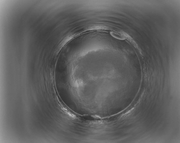 X0000060550945200511101534